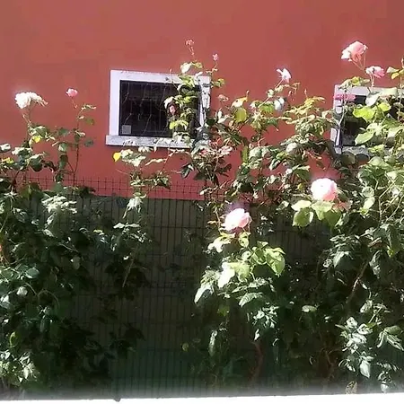 Appartamento Bardolino * 巴多利诺